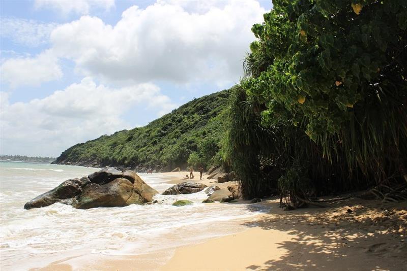 Изображение Hotel J Unawatuna 3*