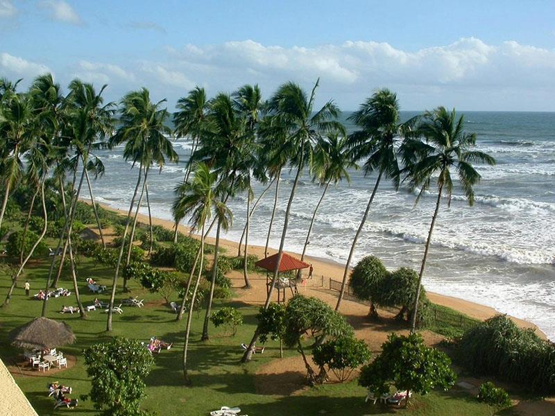 Изображение White Surfing Beach 2*