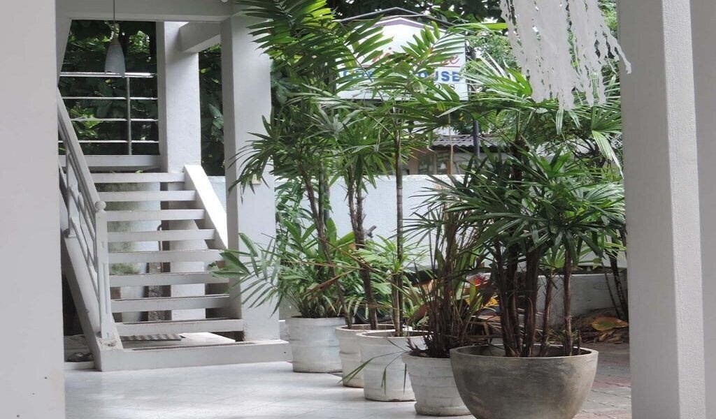 Фотография Prim Rose Guest House 2*