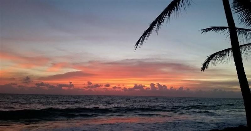 Фото Sun N Sea 2*