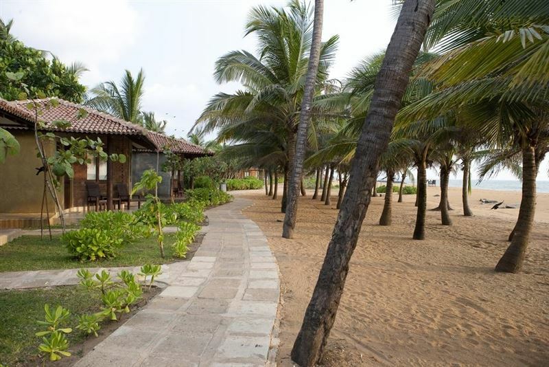 Изображение Club Hotel Dolphin (ex. 1981/2013) 4*