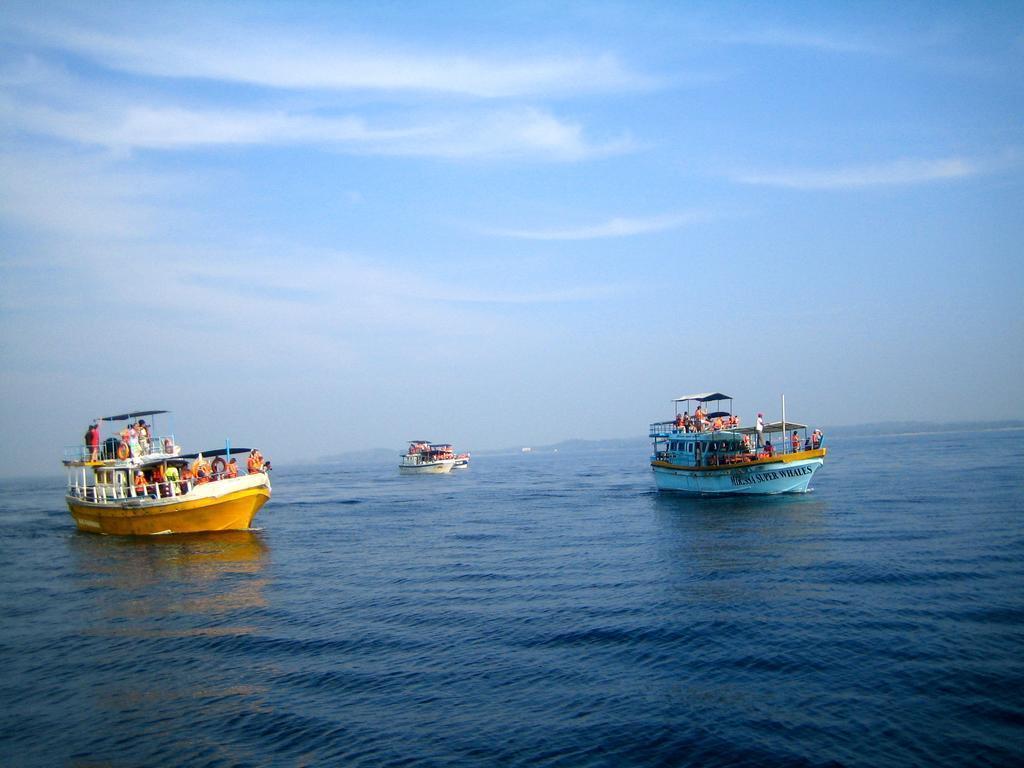 Картинка Highland Villa 3*