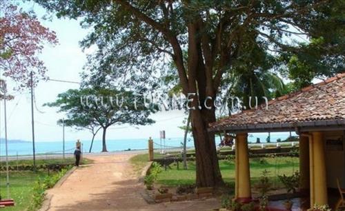 Отель Bay Inn Weligama 2*