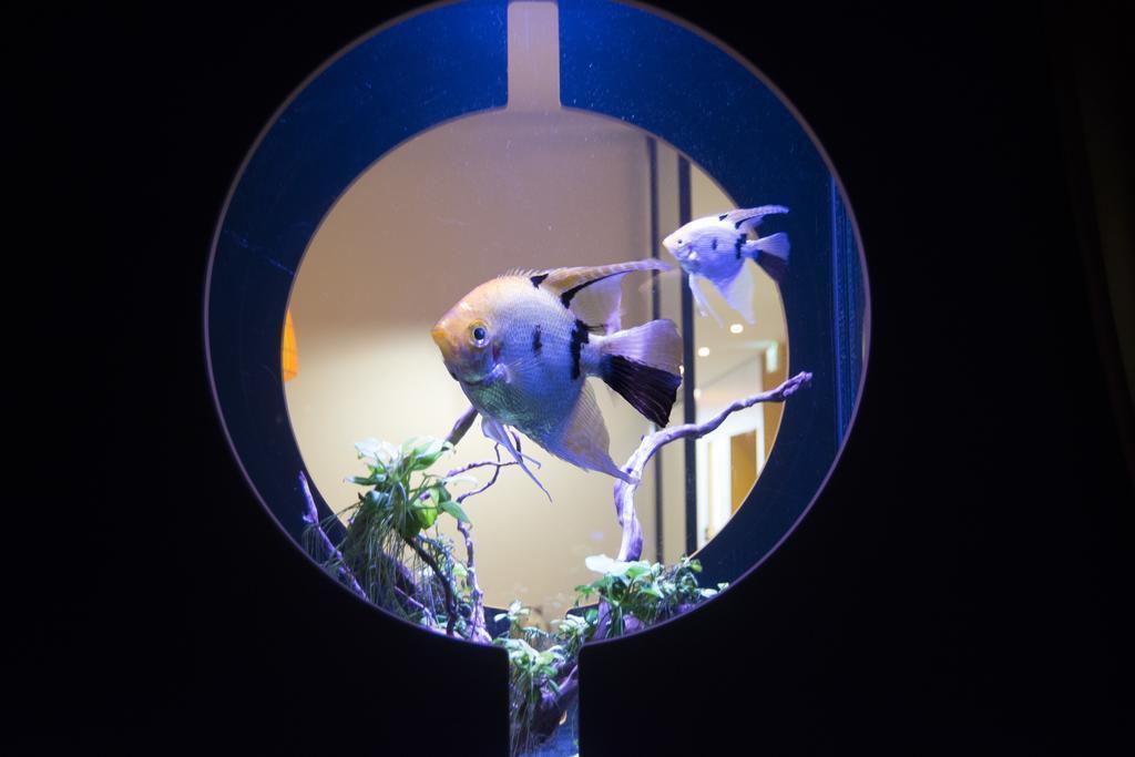 Изображение First Hotel Fridhemsplan 3*