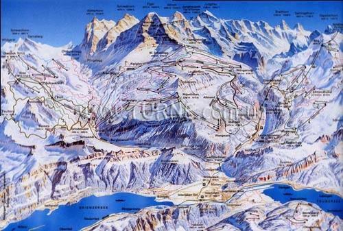 Фотография Central Wolter 4*