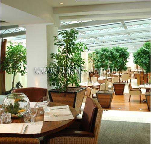 Изображение Epsom 4*