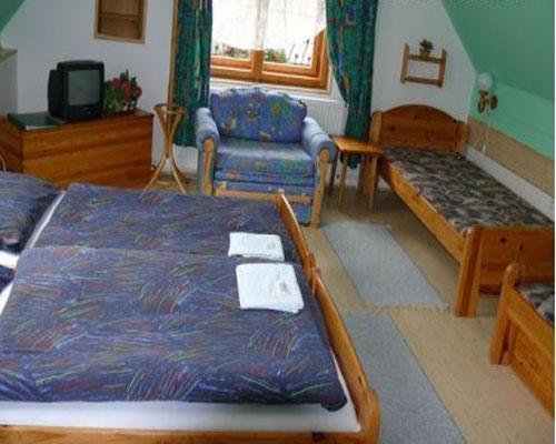 Изображение Penzion Aurel 3*