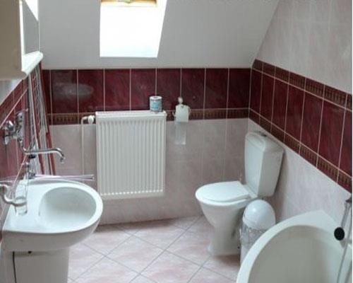 Фото Penzion Aurel 3*