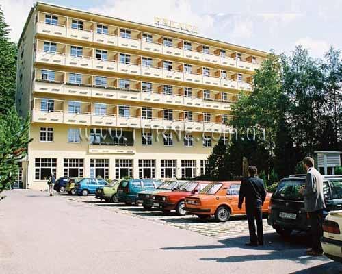 Изображение Palace 3*