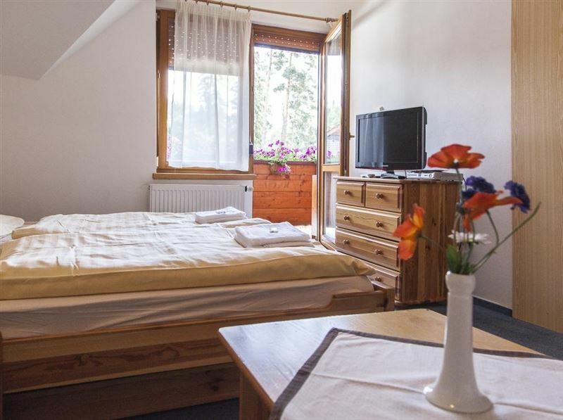 Картинка Snezienka Apt 3*