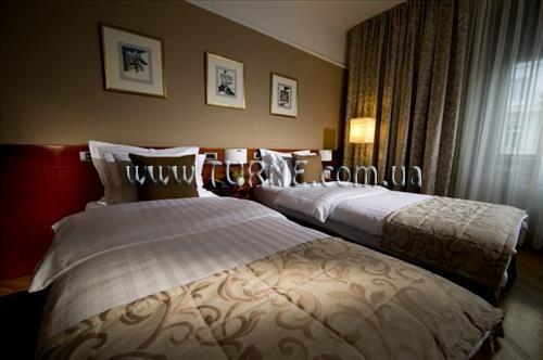 Изображение Slon 5*