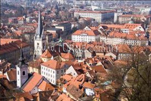 Фотография Rogla 3*