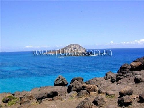 Отель Sheraton Keauhou Bay Resort & Spa 5*