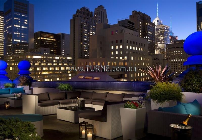 Отель The Roosevelt Hotel New York City 3*