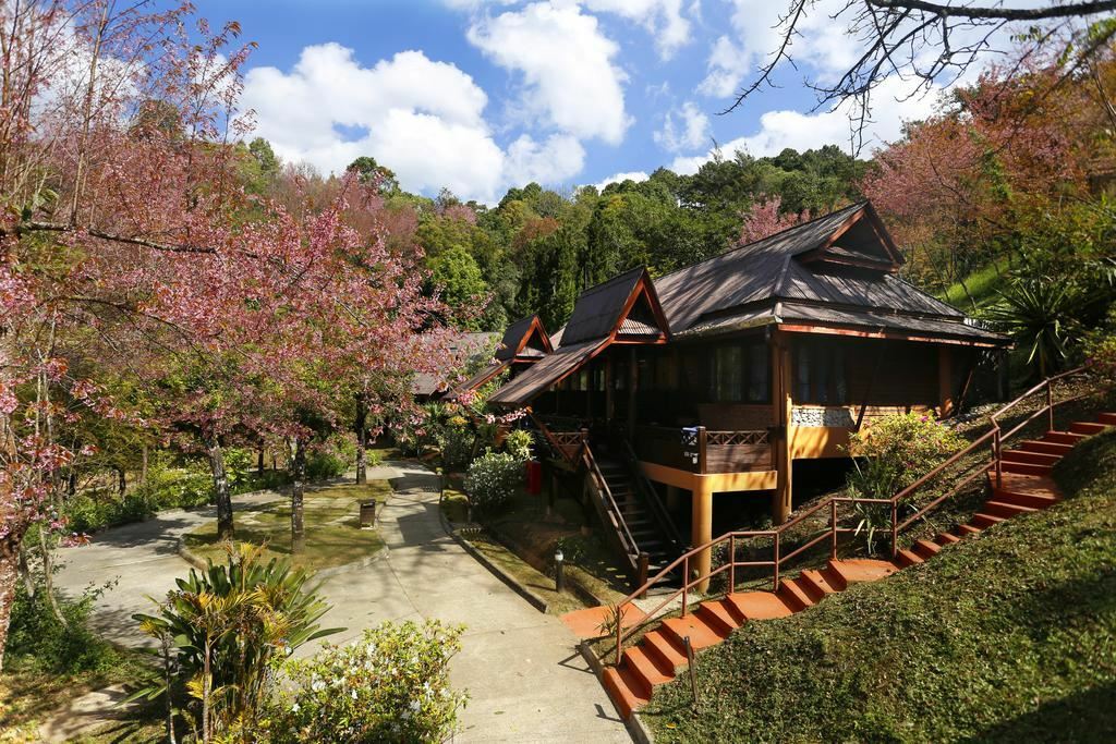 Фотография Angkhang Nature Resort 3*