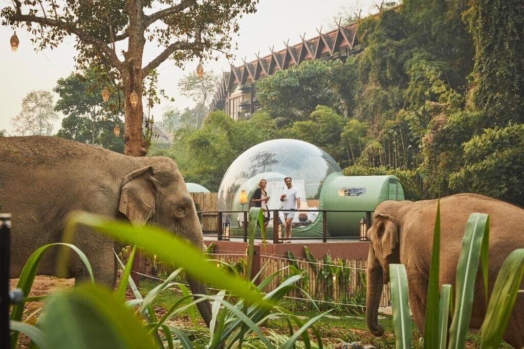 Картинка Anantara Resort Golden Triangle 5*