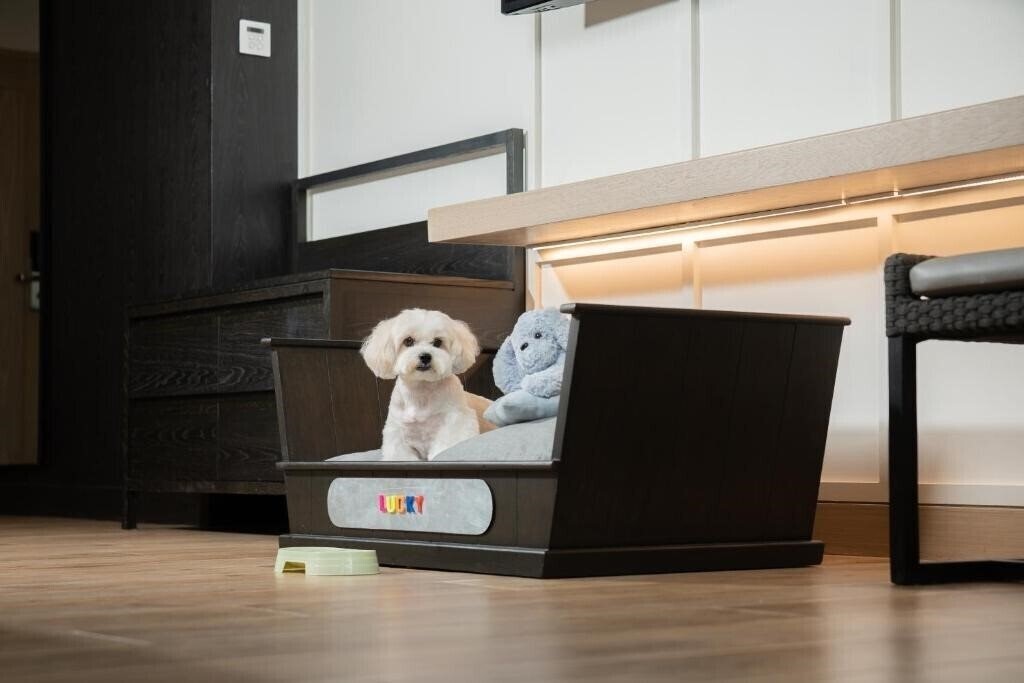 Картинка Hyatt Regency Hua Hin 5*