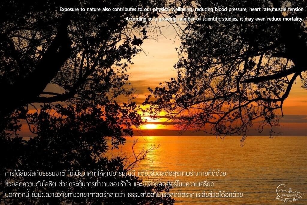 Фотография Chai Chet Resort 3*