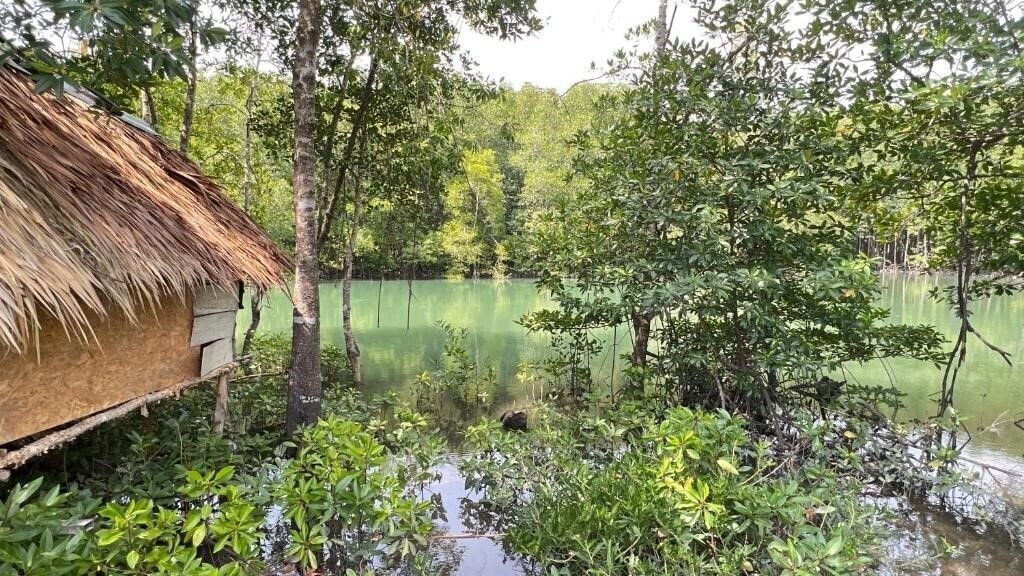 Фотография At Thara Aonang 3*