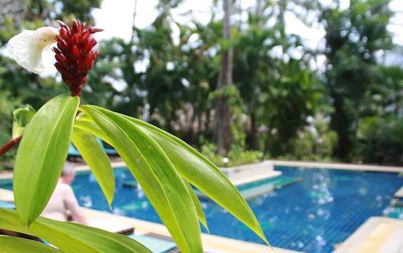 Отель Ao Nang Premier Resort (ex. Tropical Herbal Spa & Resort) 3*