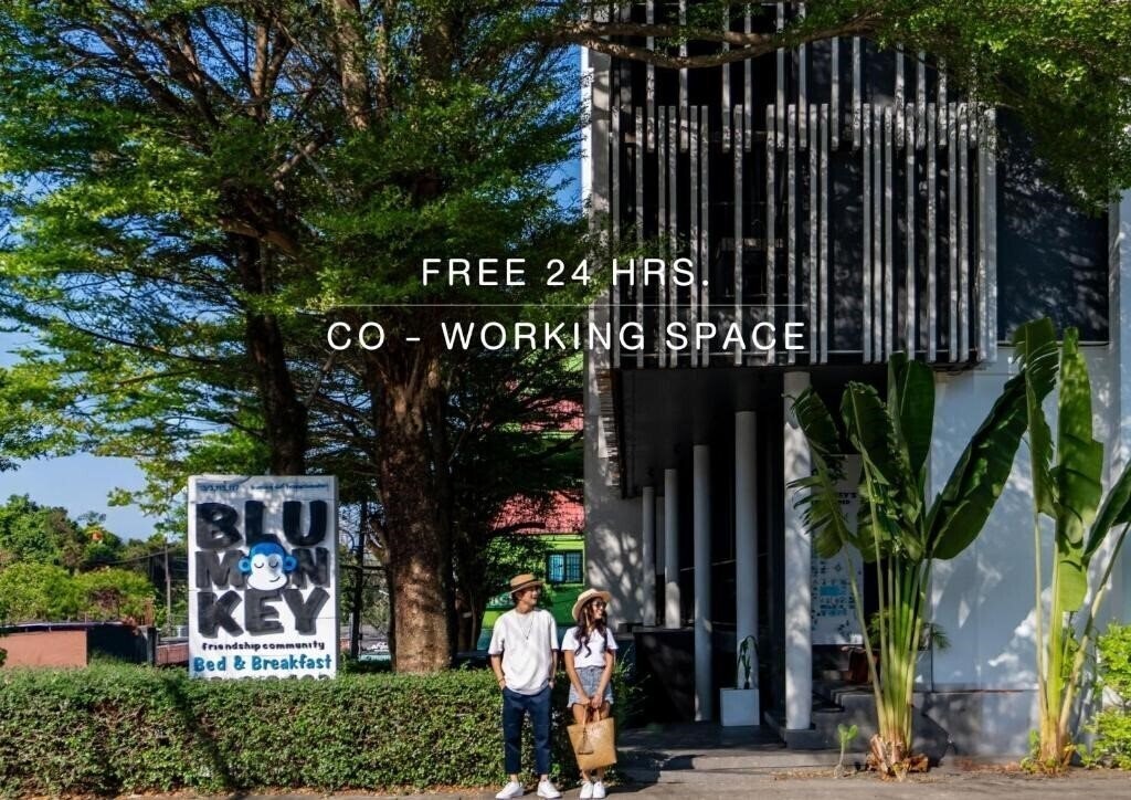 Отель Blu Monkey 2*