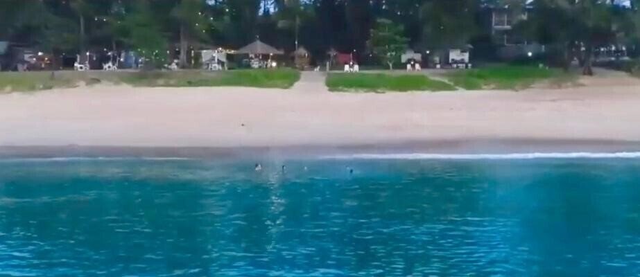 Изображение Micky Monkey Beach Hotel 3*