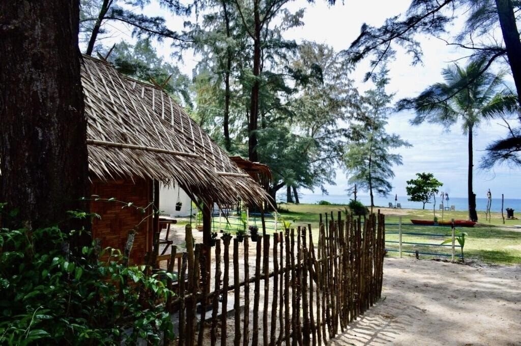 Картинка Micky Monkey Beach Hotel 3*