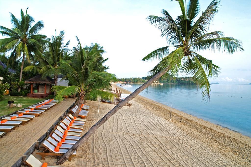 Фотография Bandara Resort & SPA 4*