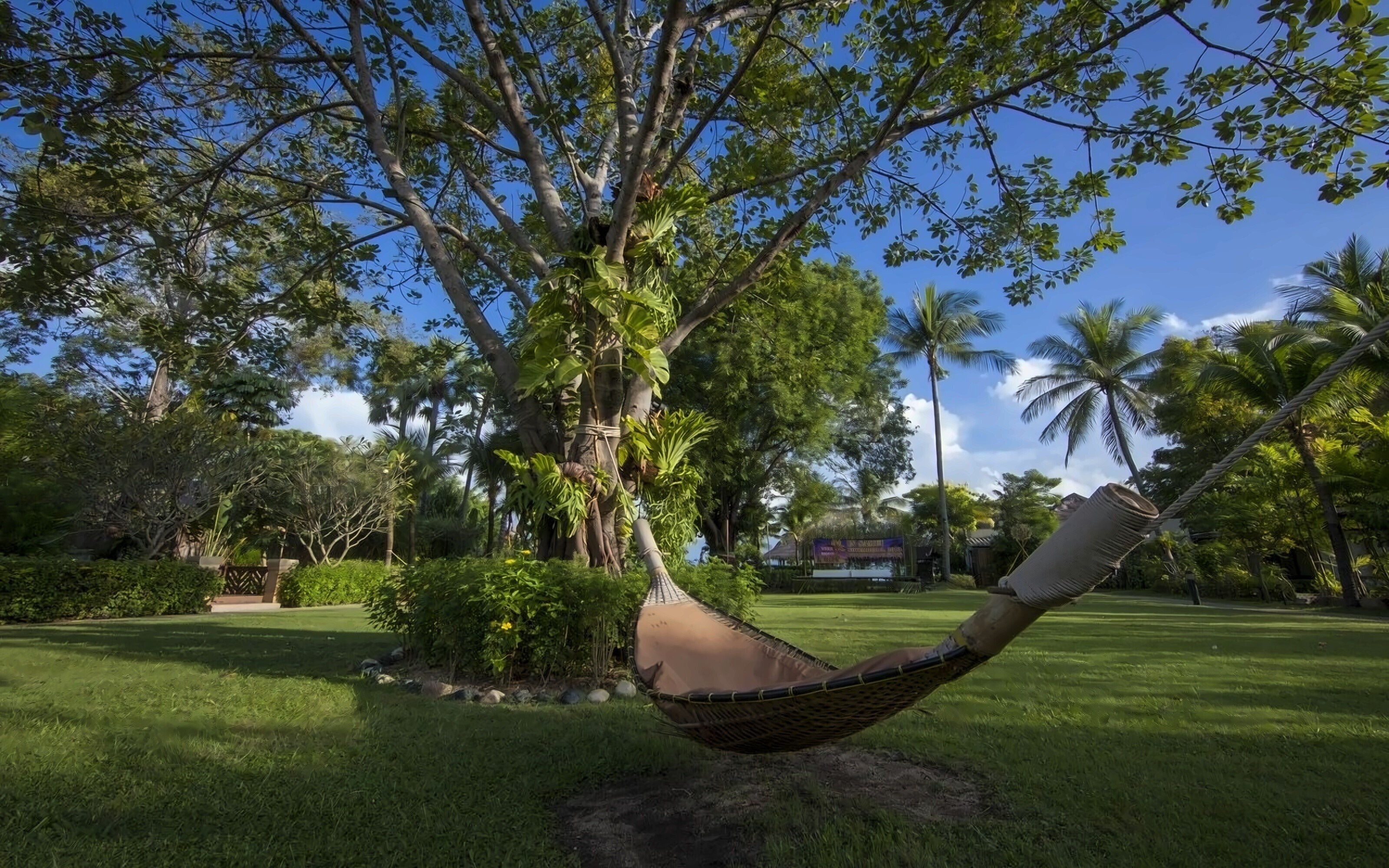 Изображение Bandara Resort & SPA 4*