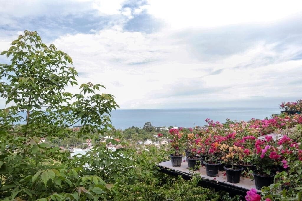 Картинка Siva Buri Resort 2*