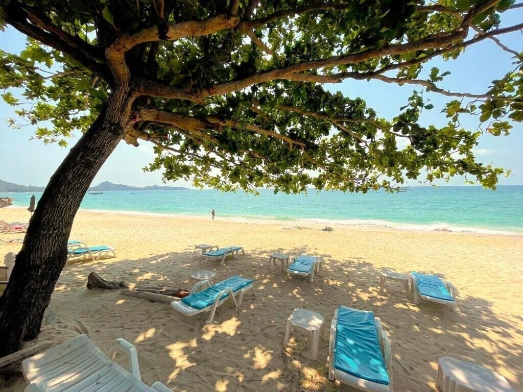 Отель Samui Sense Beach Resort 3*
