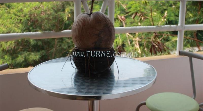 Фотография Sugar Palm Palace 2*