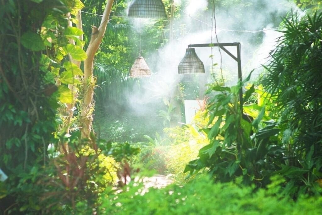 Картинка Birds & Bees Resort 4*