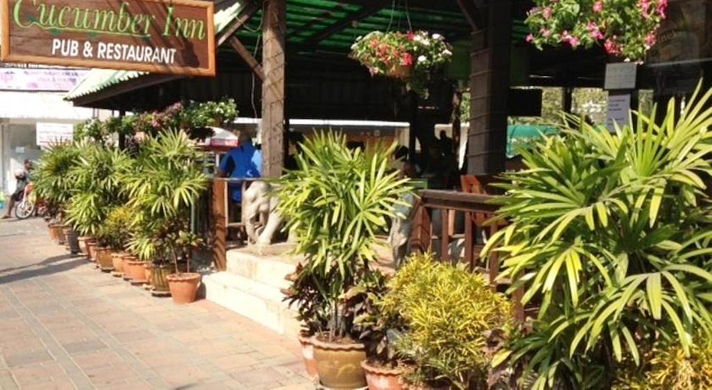 Картинка Cucumber Inn 2*