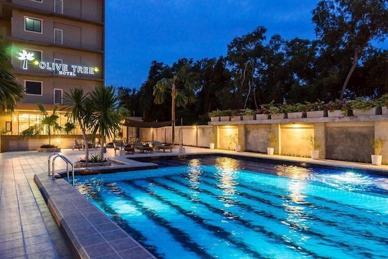 Фотография Olive Tree Hotel 4*