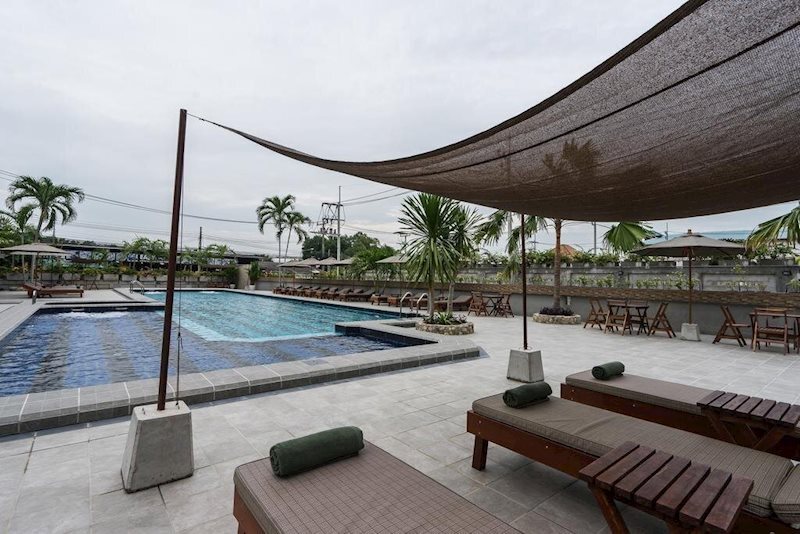 Изображение Olive Tree Hotel 4*