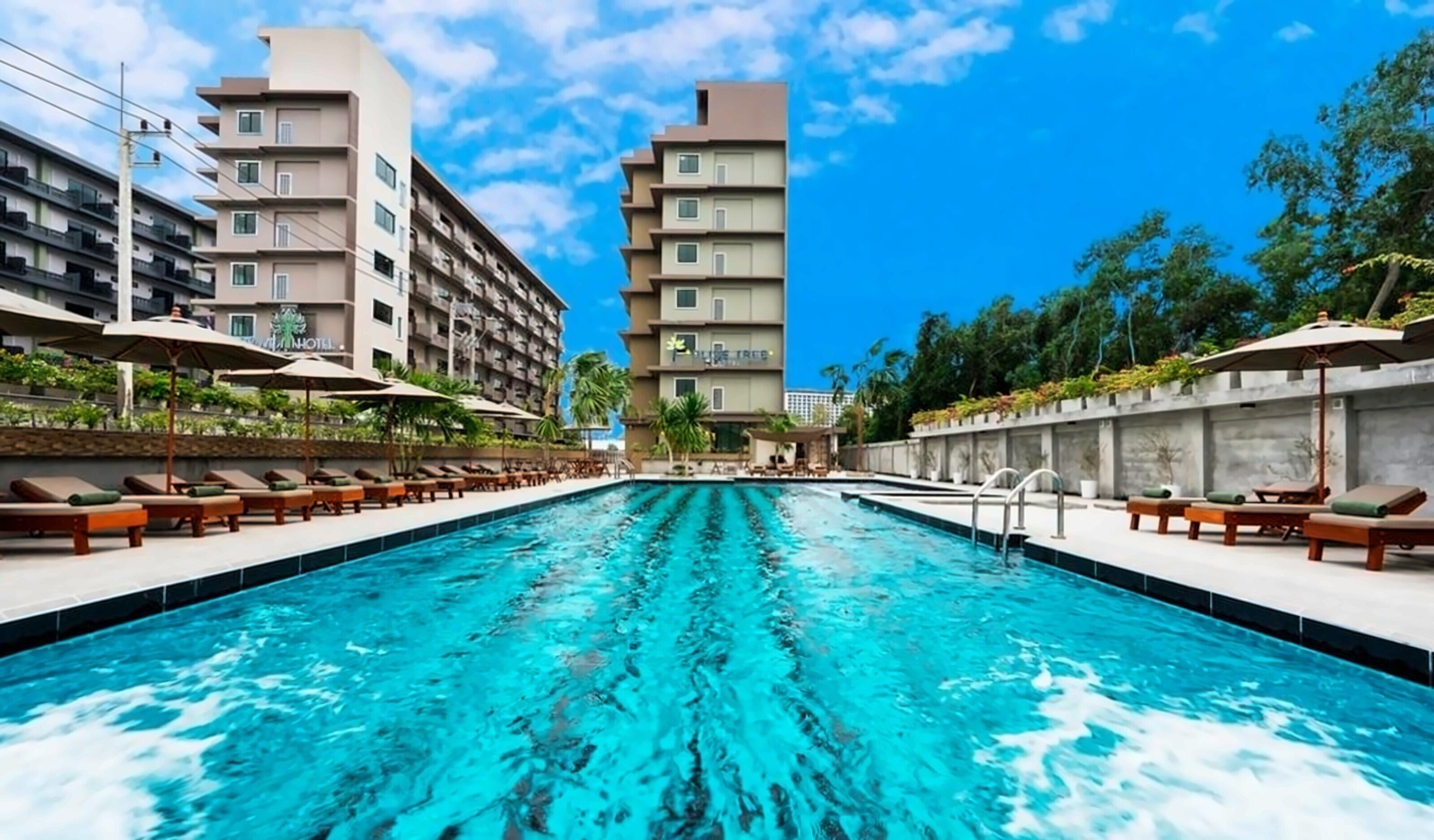 Отель Olive Tree Hotel 3*
