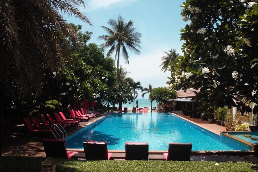 Отель Tommy Resort 3*