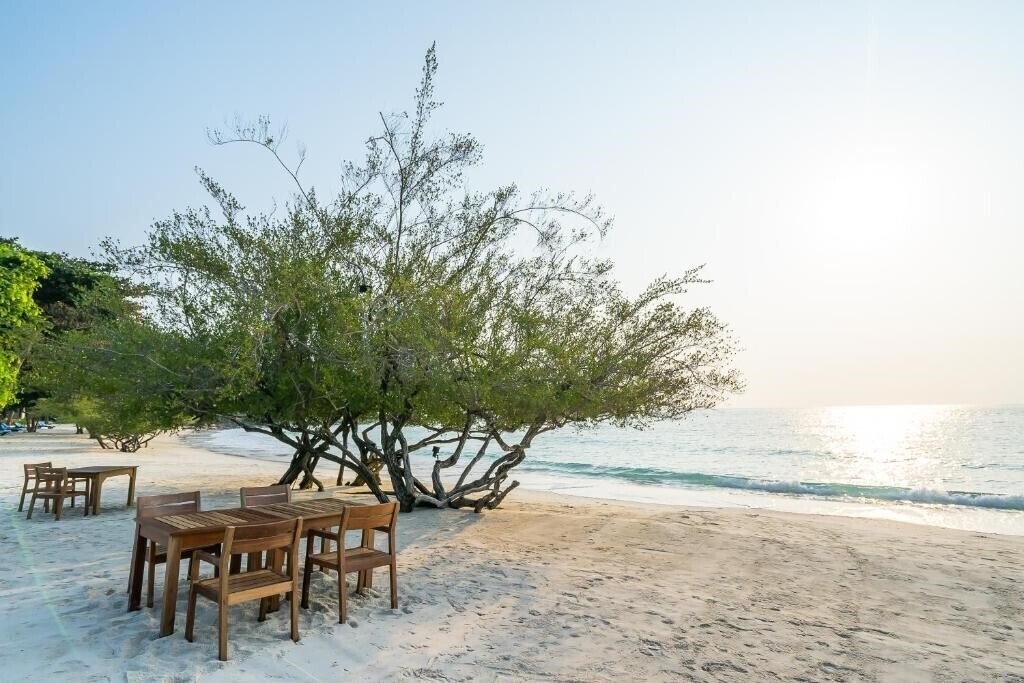 Фотография Paradee Resort & SPA 5*