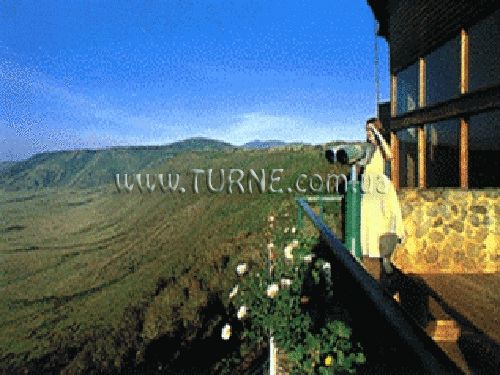 Отель Wildlife Lodges 3*