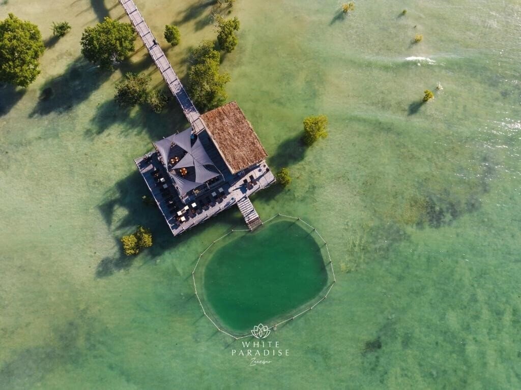 Отель White Paradise 4*