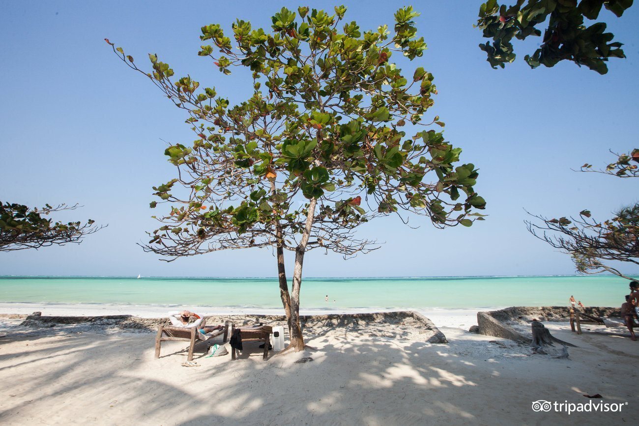 Изображение Diamonds Mapenzi Beach Zanibar 4*