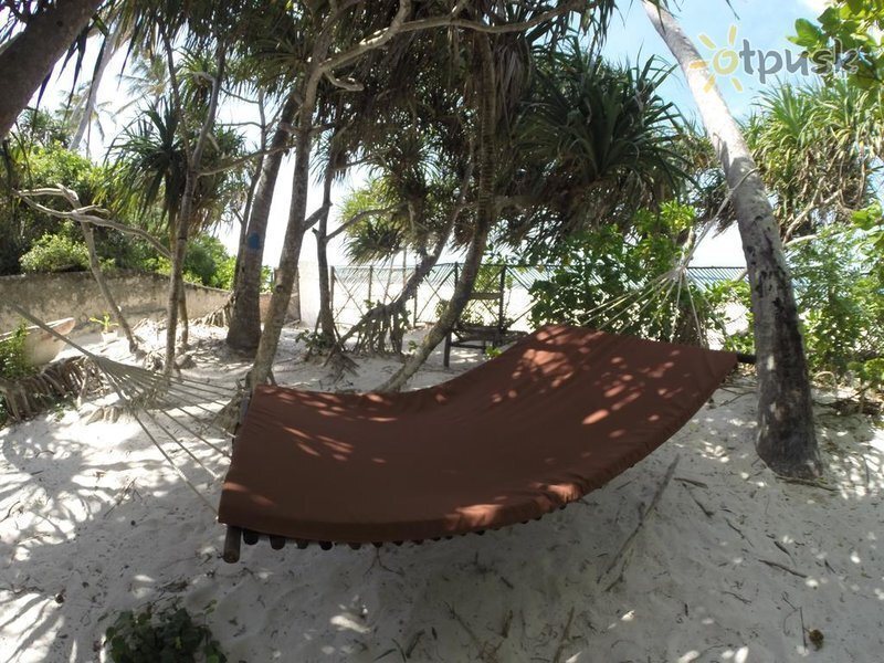 Картинка Che Che Vule 3*