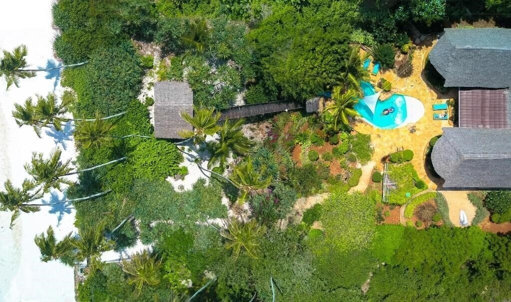 Изображение Che Che Vule 3*