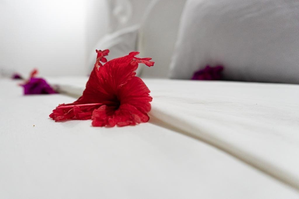 Картинка Simba Garden Lodge 3*