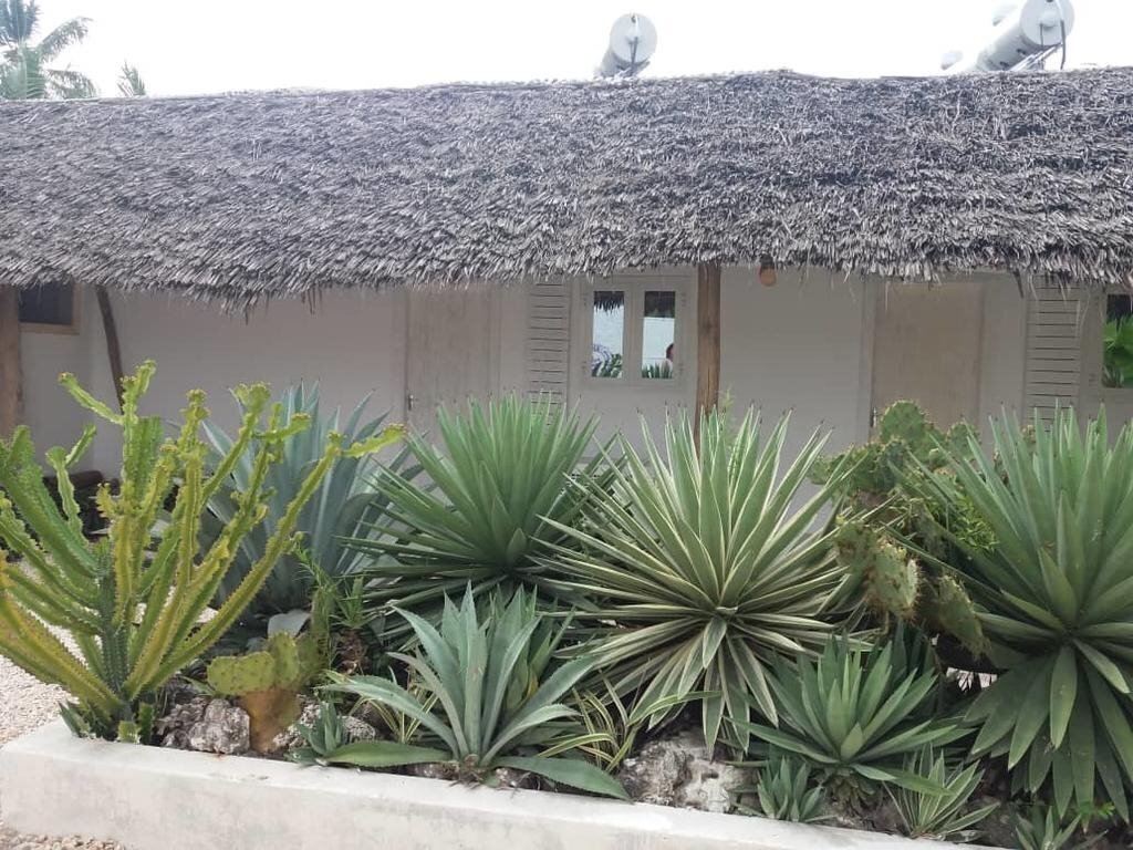 Изображение The Loop Beach Resort 3*