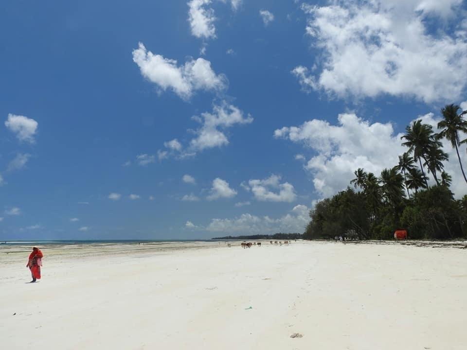 Фото Kiwengwa Bungalow Boutique Resort 4*