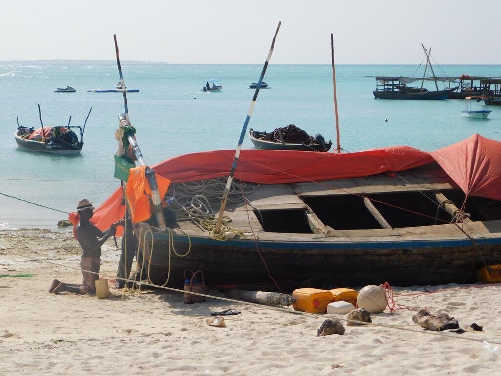 Изображение Royal Palm By Tropicana 4*