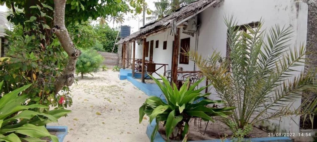 Отель Oasis Beach Inn 3*