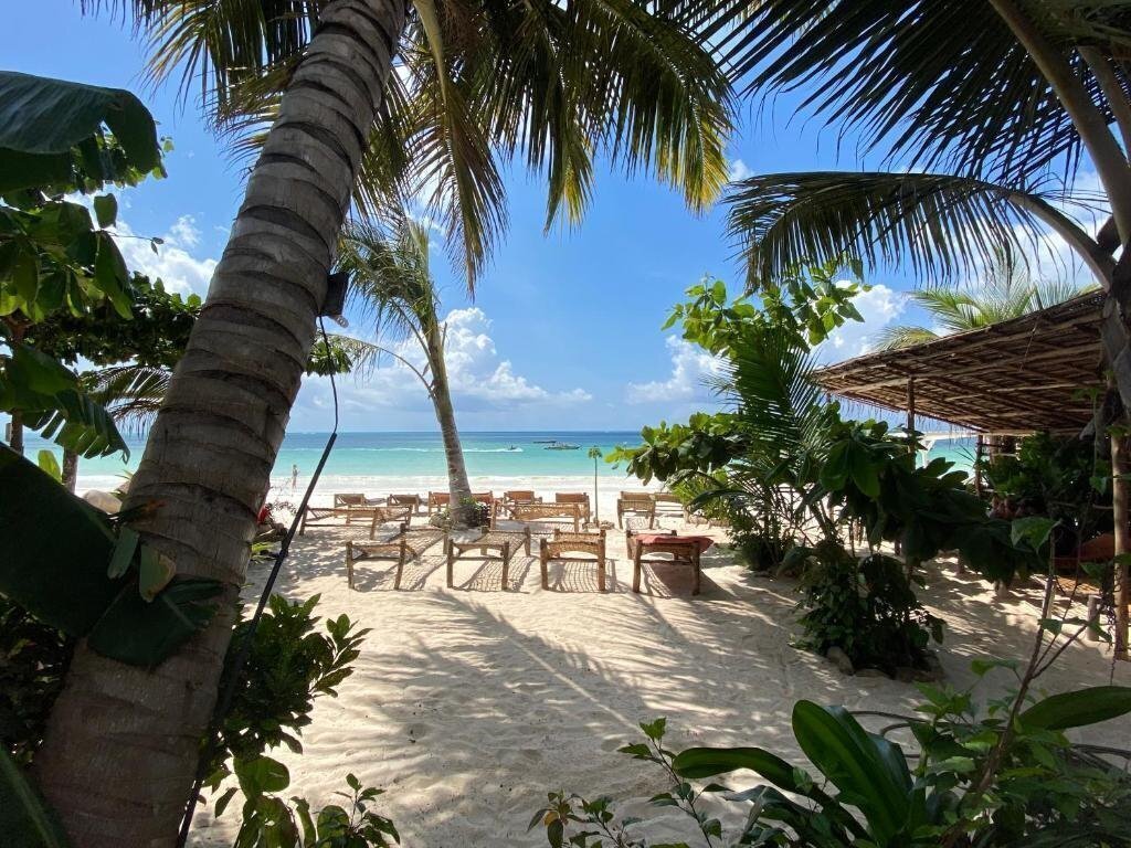 Отель Mobydick Lodge Kiwengwa 3*